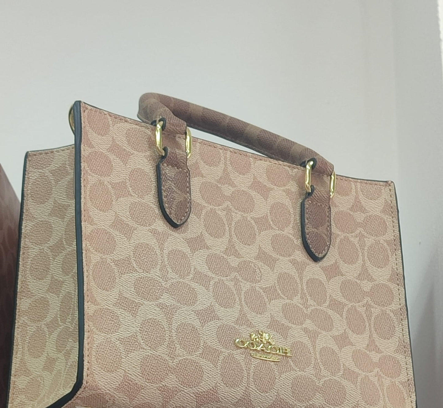 Maggie Tote Bag In Blocked Signature Canvas