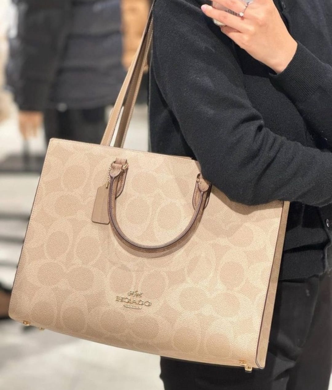 Maggie Tote Bag In Blocked Signature Canvas