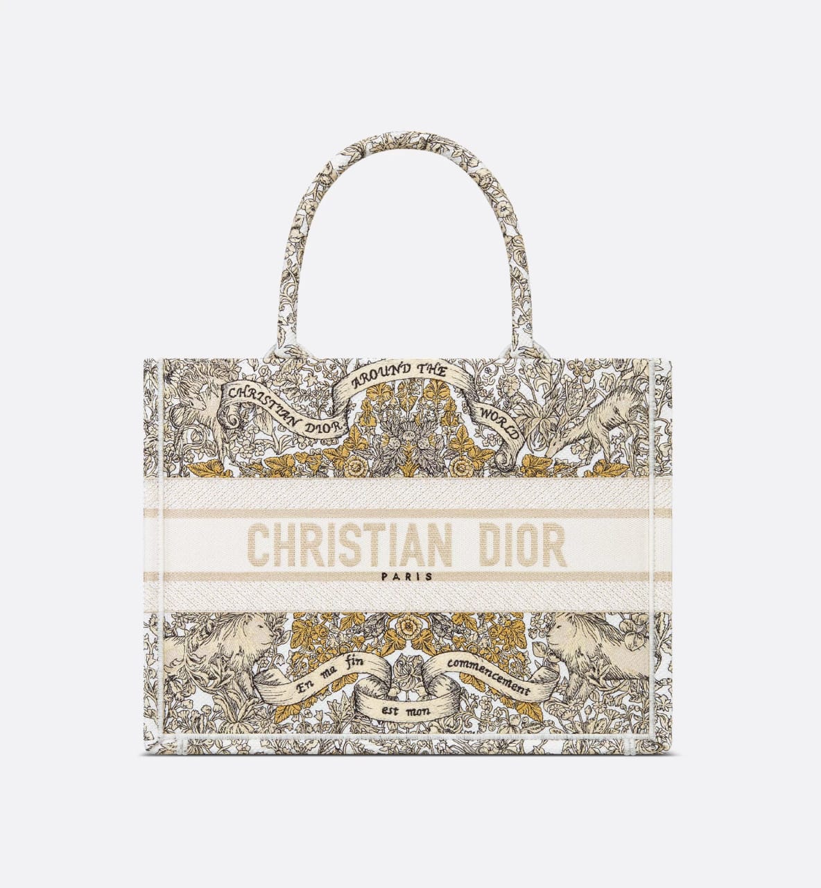 Large Dior Book Tote