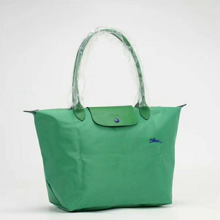Le Pliage Original M Handbag